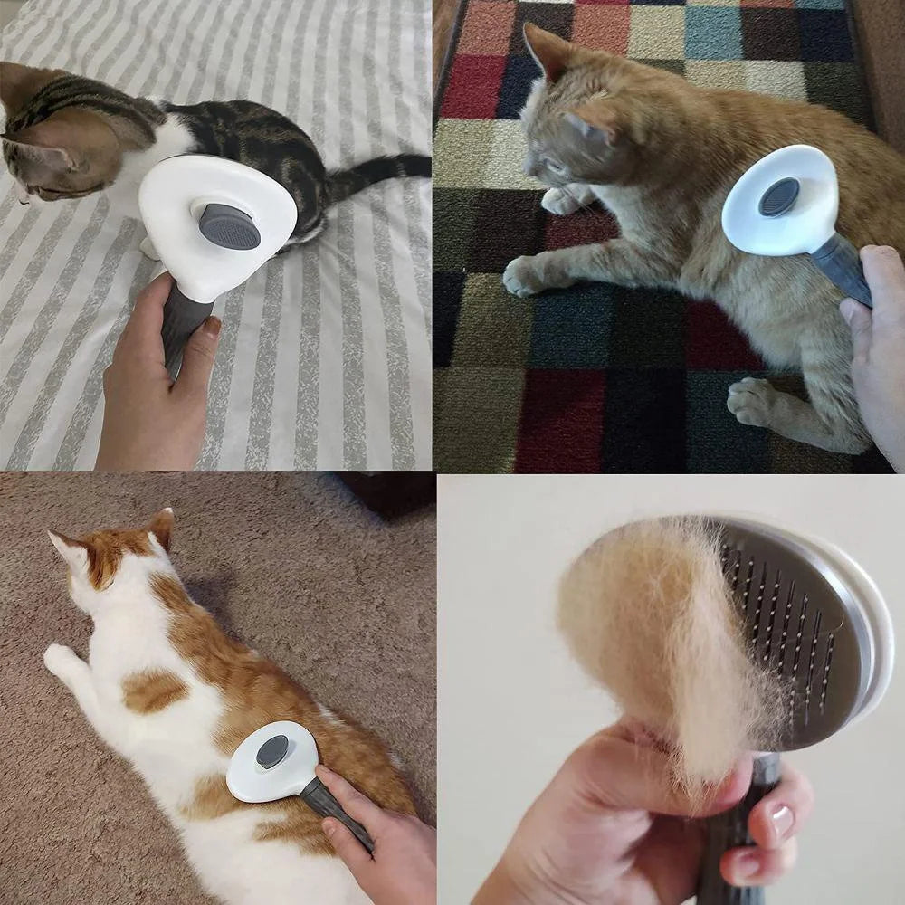 FurFree Self Cleaning Brush for Dogs and Cats